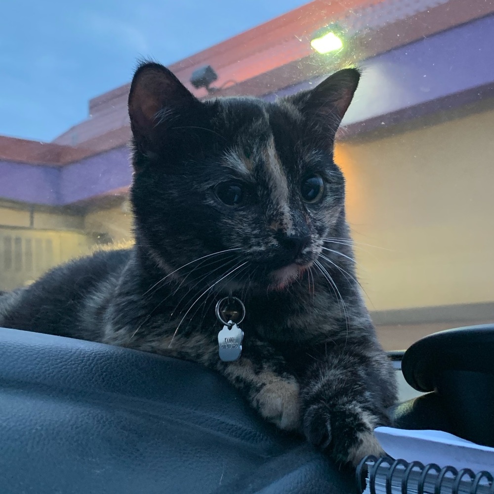 Meet your Posher, Ashara